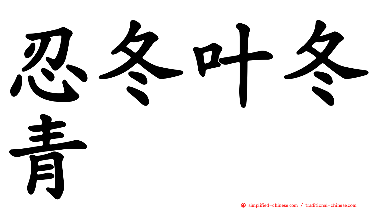 忍冬叶冬青