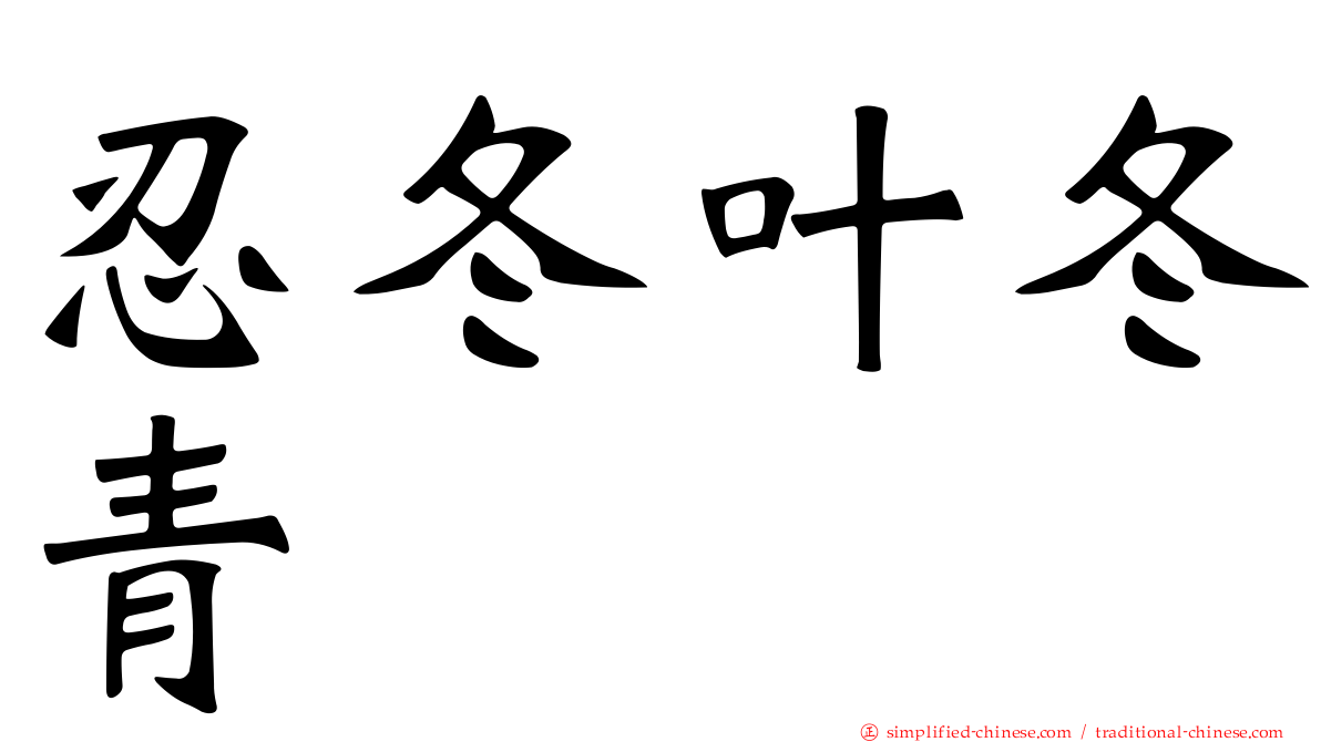 忍冬叶冬青