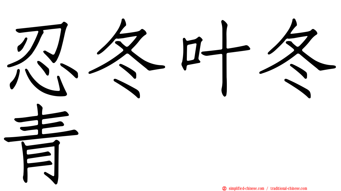 忍冬叶冬青