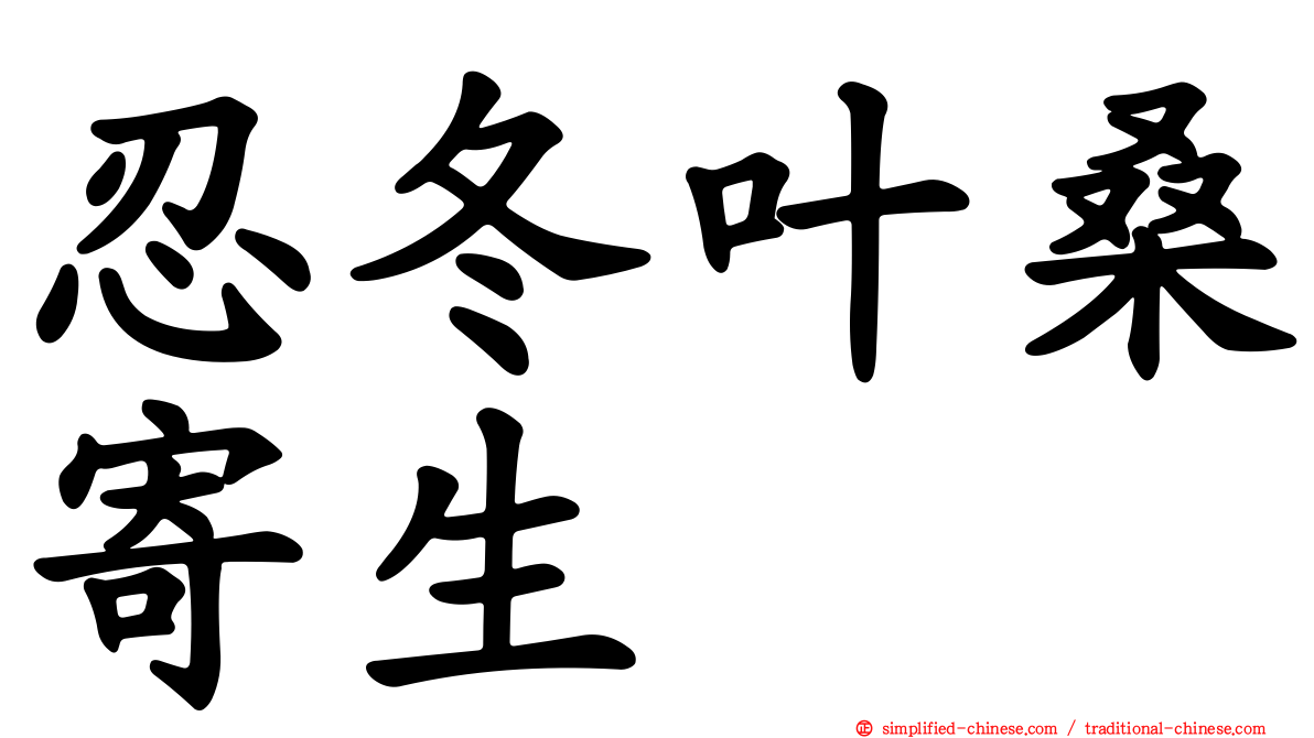 忍冬叶桑寄生