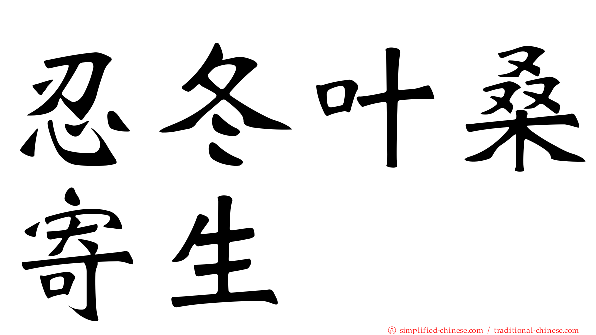 忍冬叶桑寄生