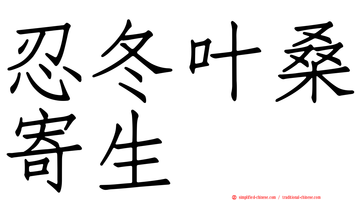忍冬叶桑寄生