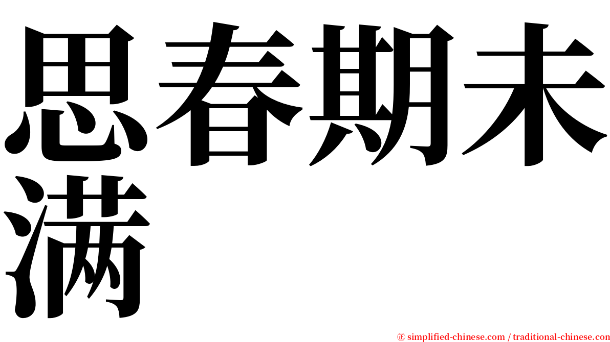思春期未满 serif font
