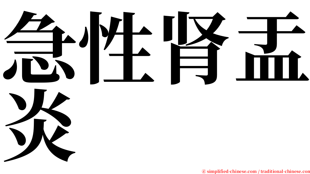 急性肾盂炎 serif font