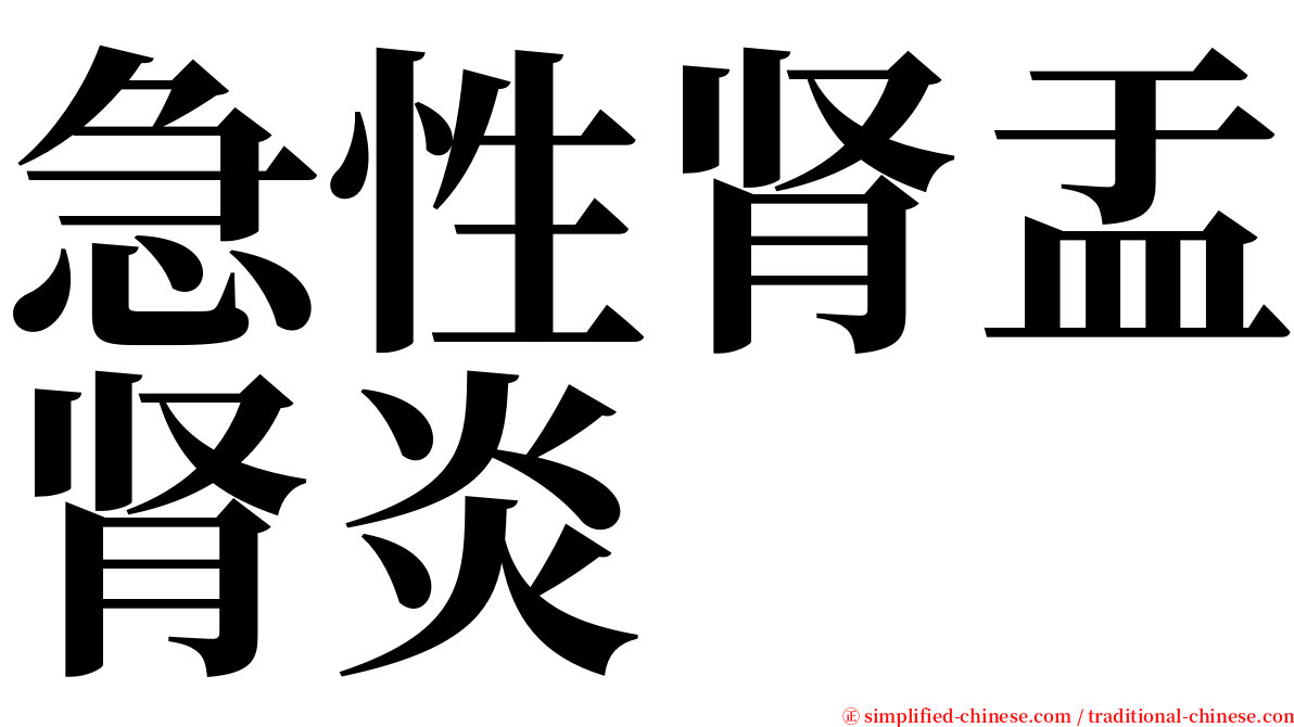 急性肾盂肾炎 serif font