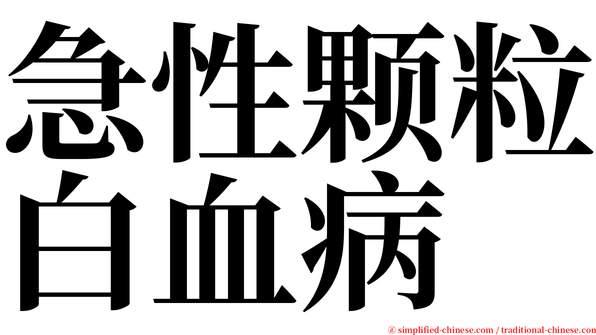 急性颗粒白血病 serif font