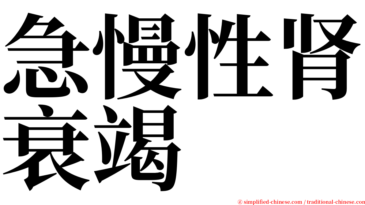 急慢性肾衰竭 serif font