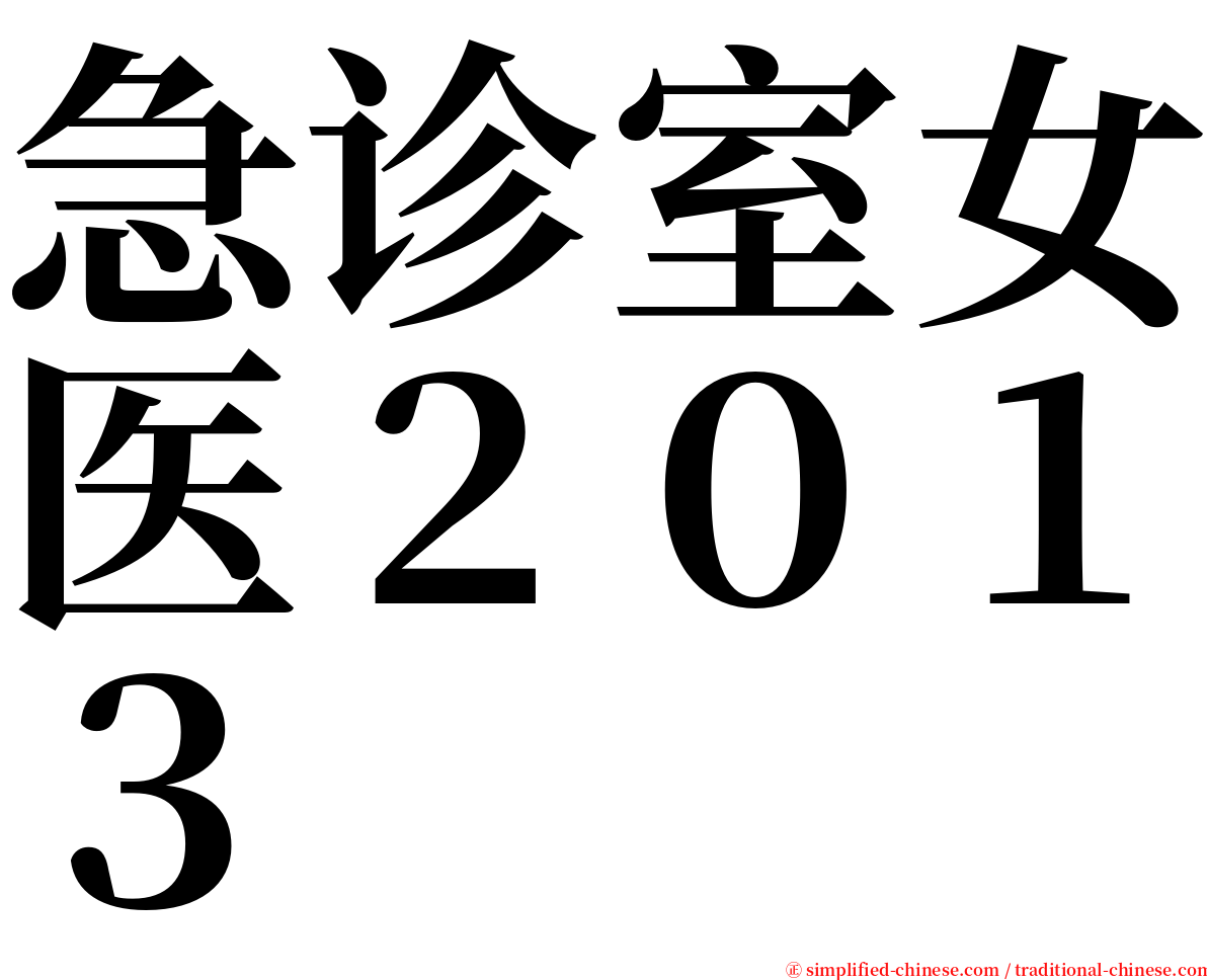 急诊室女医２０１３ serif font