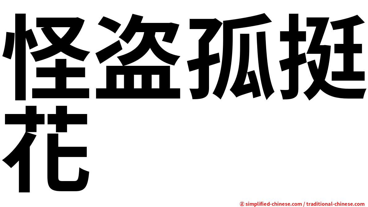 怪盗孤挺花