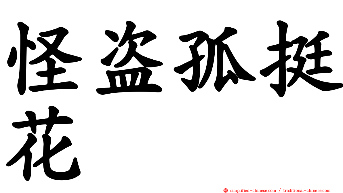 怪盗孤挺花