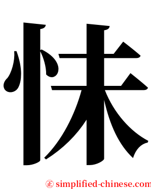 怽 serif font