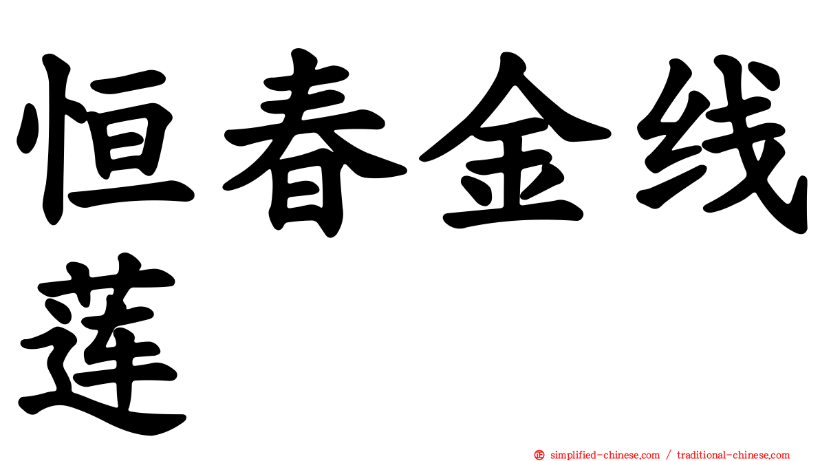 恒春金线莲