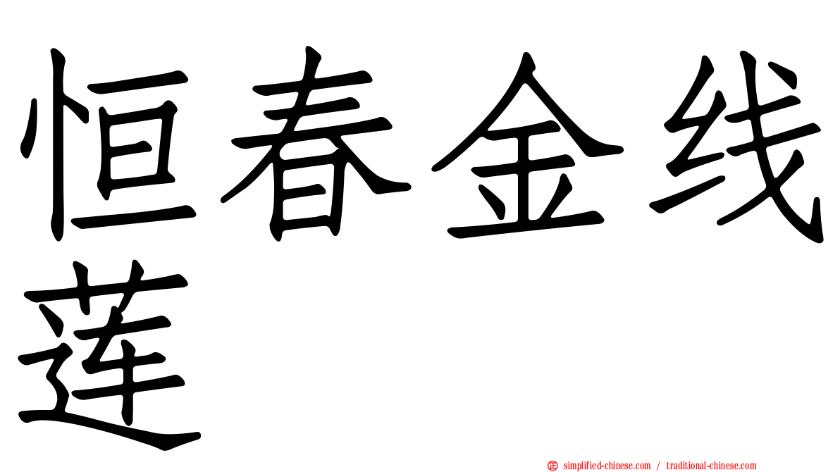 恒春金线莲