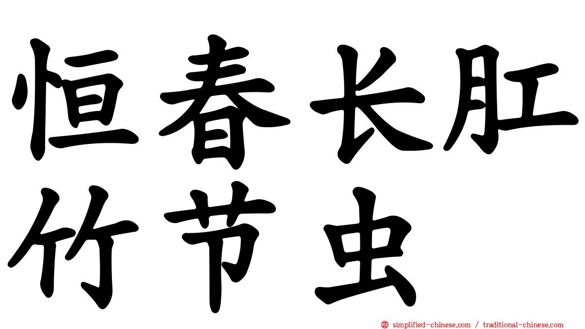 恒春长肛竹节虫