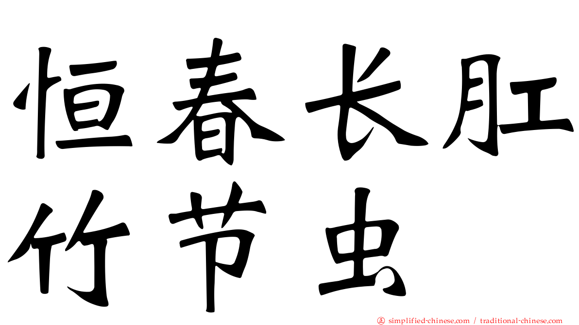 恒春长肛竹节虫