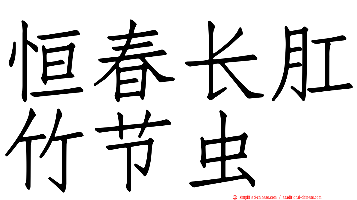 恒春长肛竹节虫