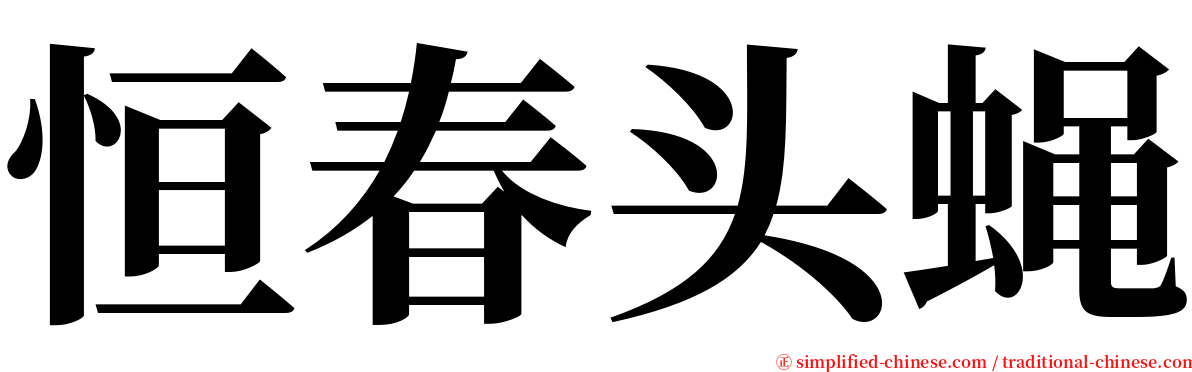 恒春头蝇 serif font