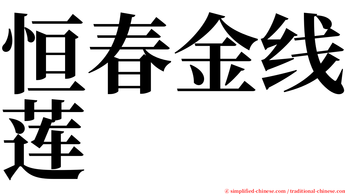 恒春金线莲 serif font
