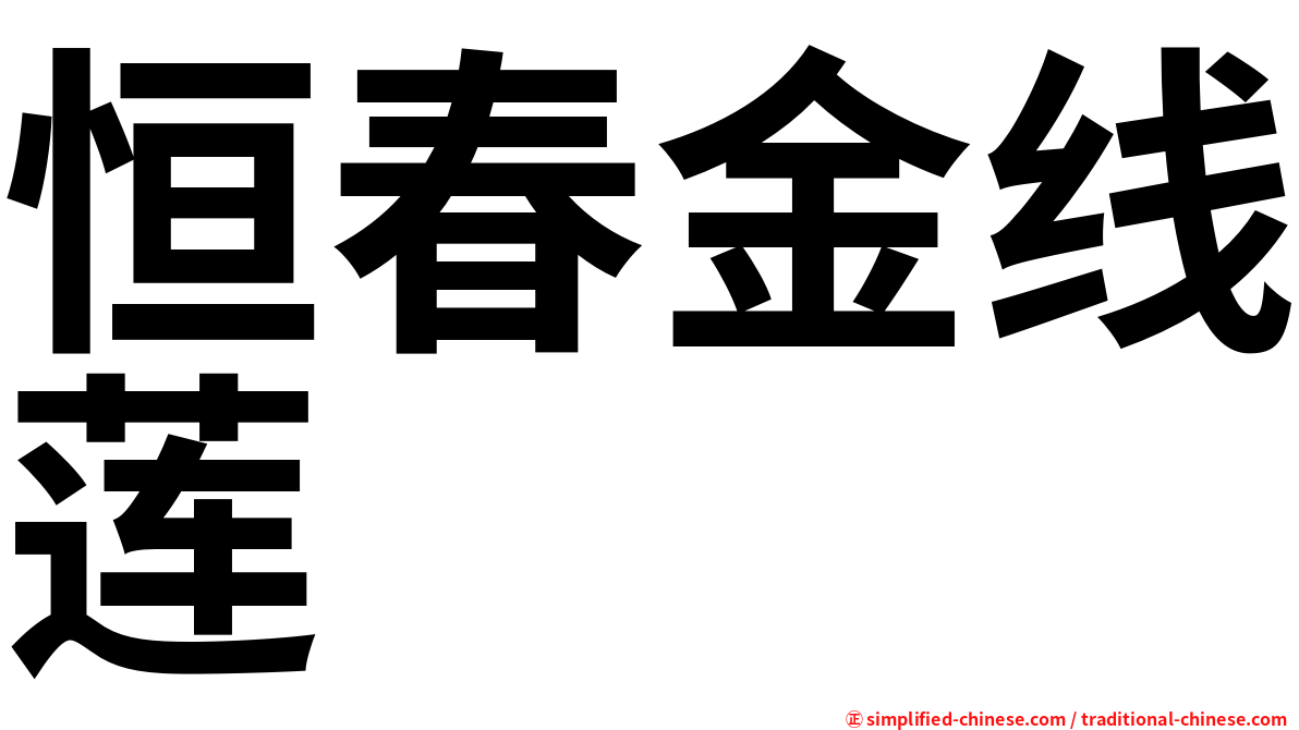 恒春金线莲