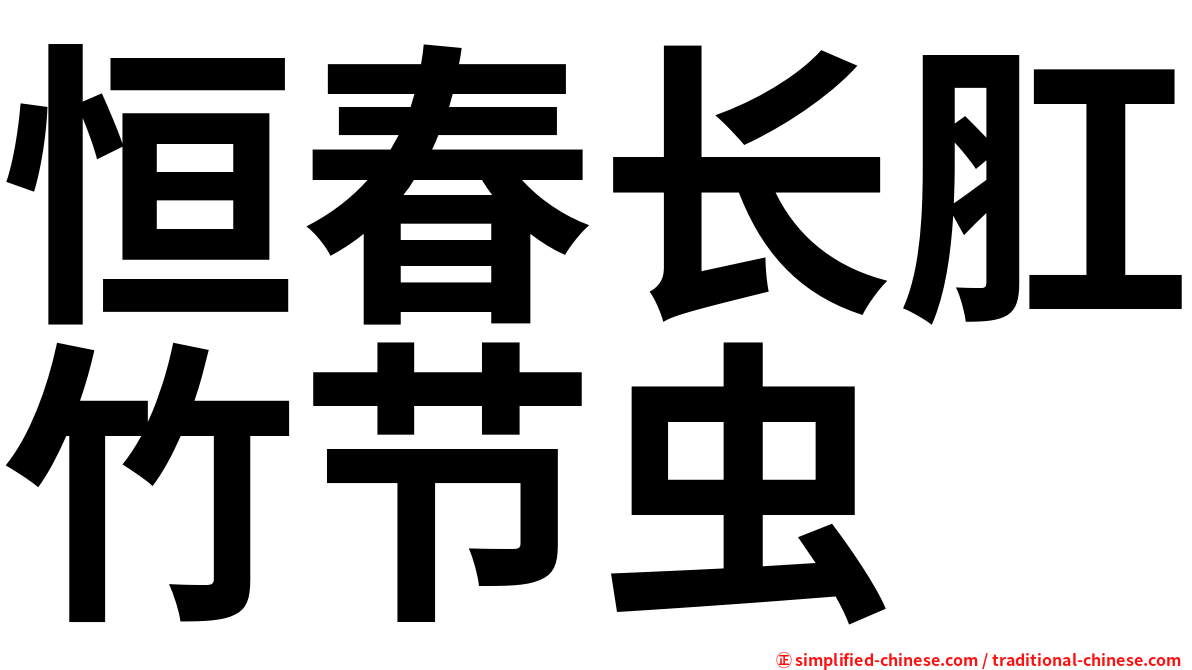 恒春长肛竹节虫