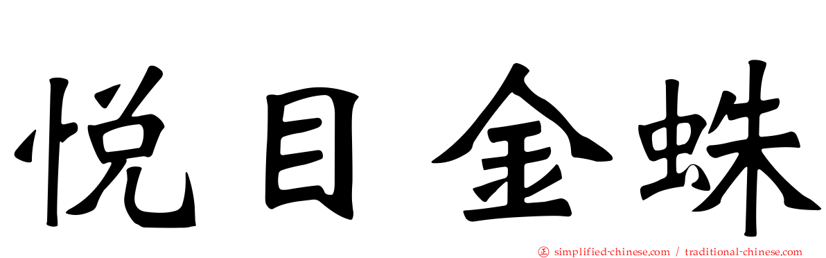 悦目金蛛