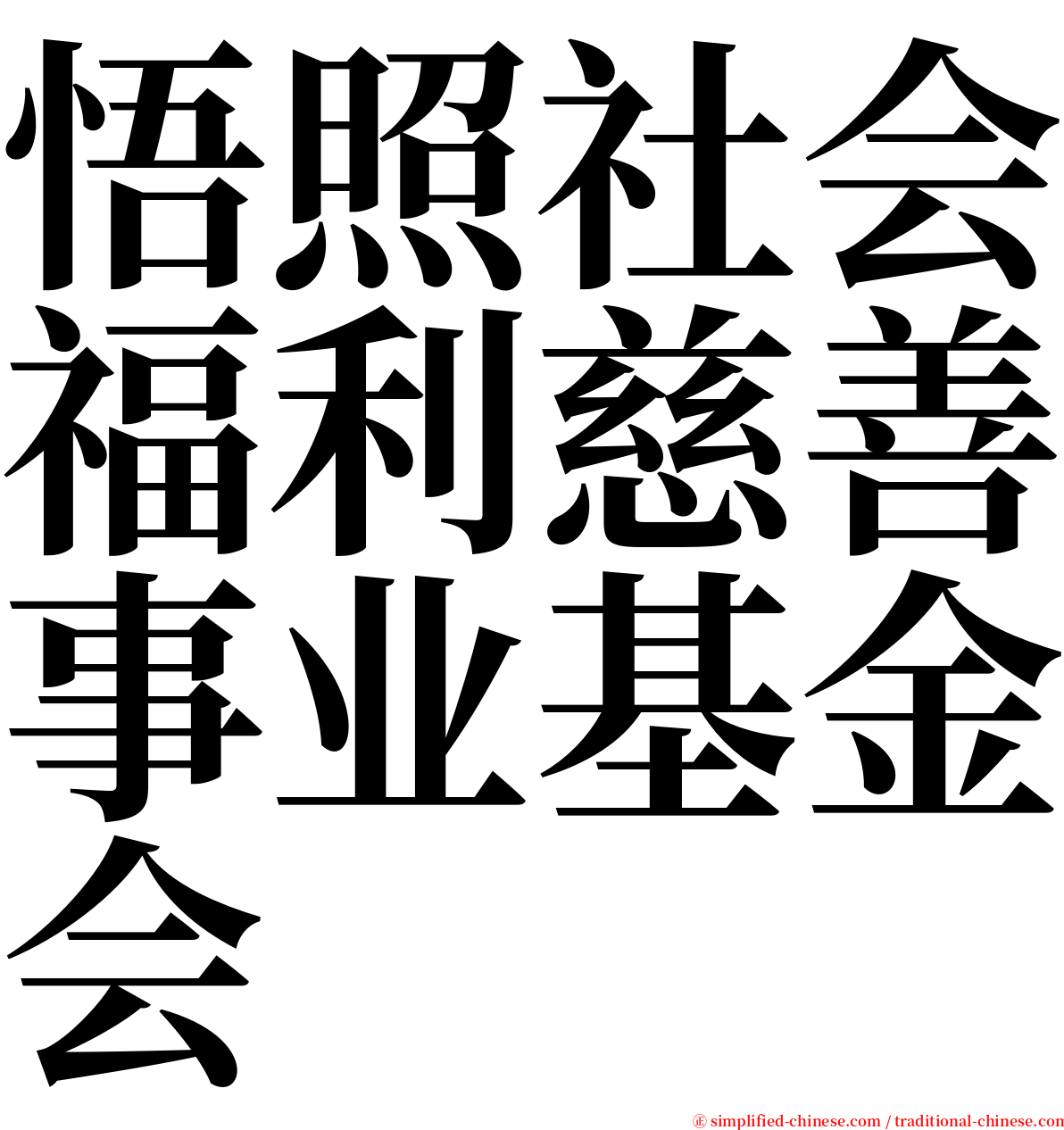 悟照社会福利慈善事业基金会 serif font