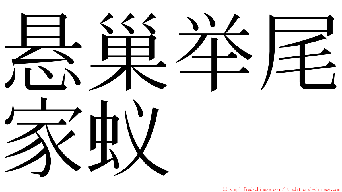 悬巢举尾家蚁 ming font