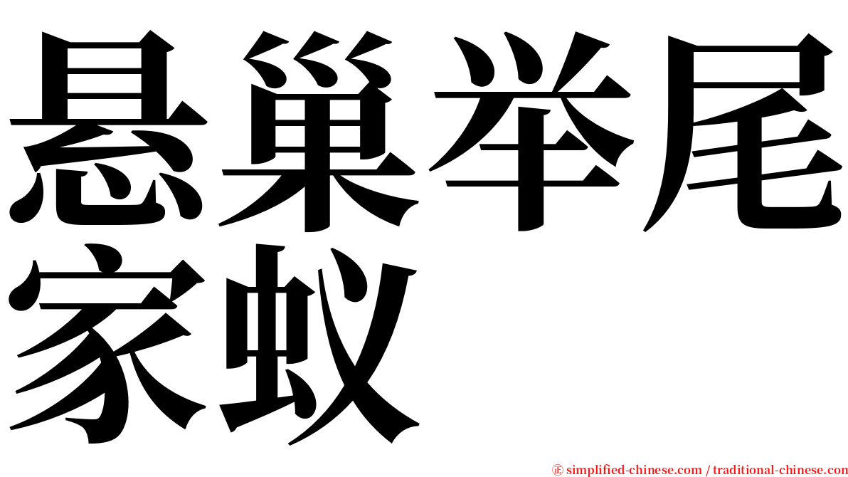 悬巢举尾家蚁 serif font
