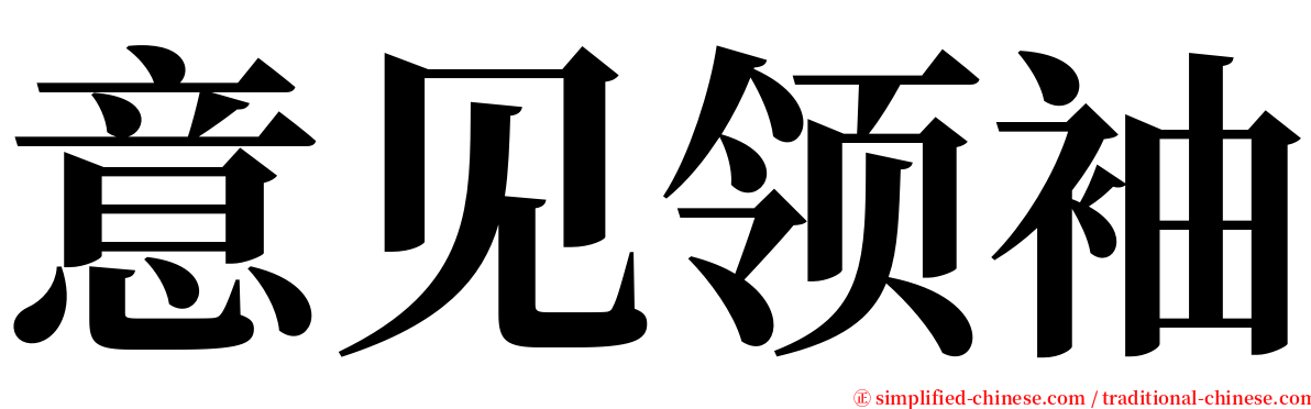 意见领袖 serif font