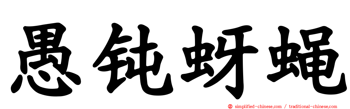 愚钝蚜蝇