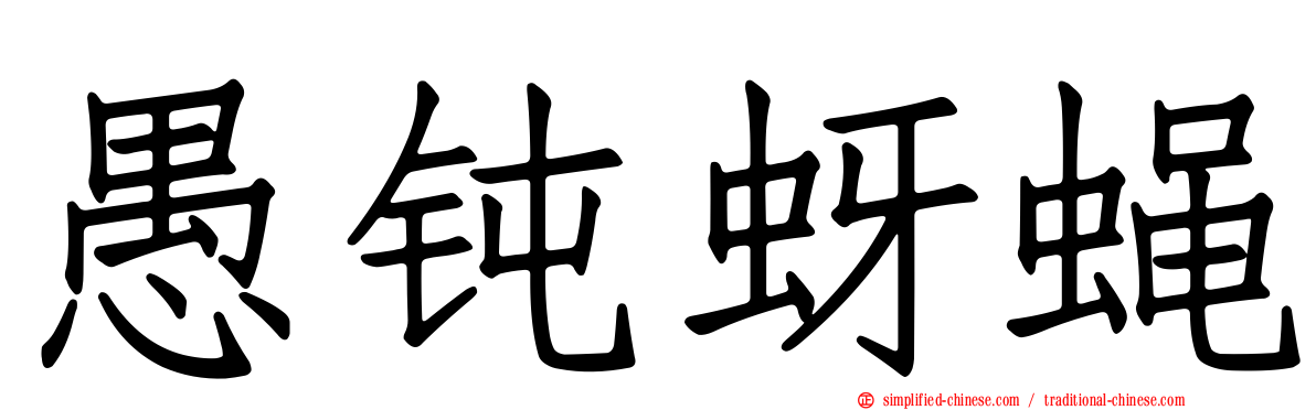 愚钝蚜蝇