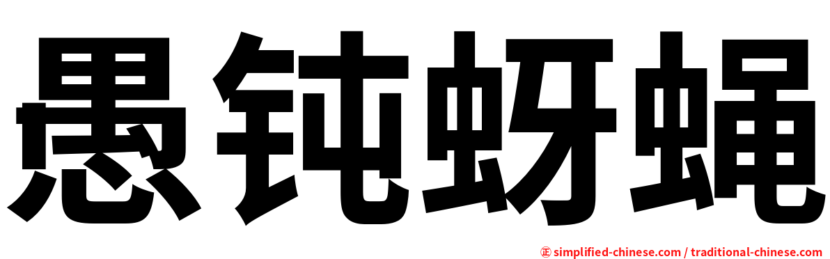愚钝蚜蝇
