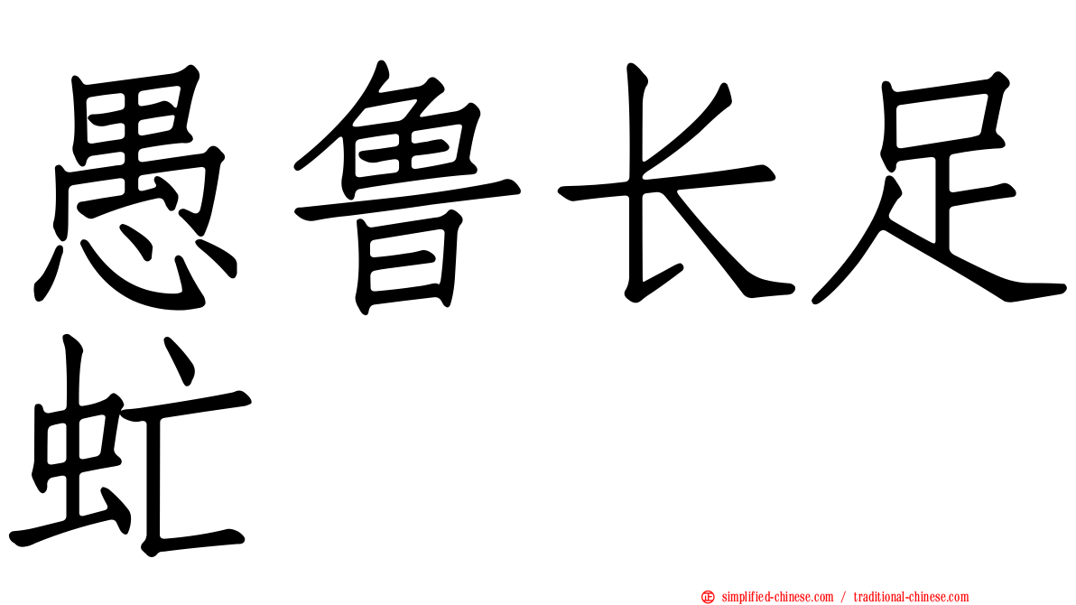 愚鲁长足虻