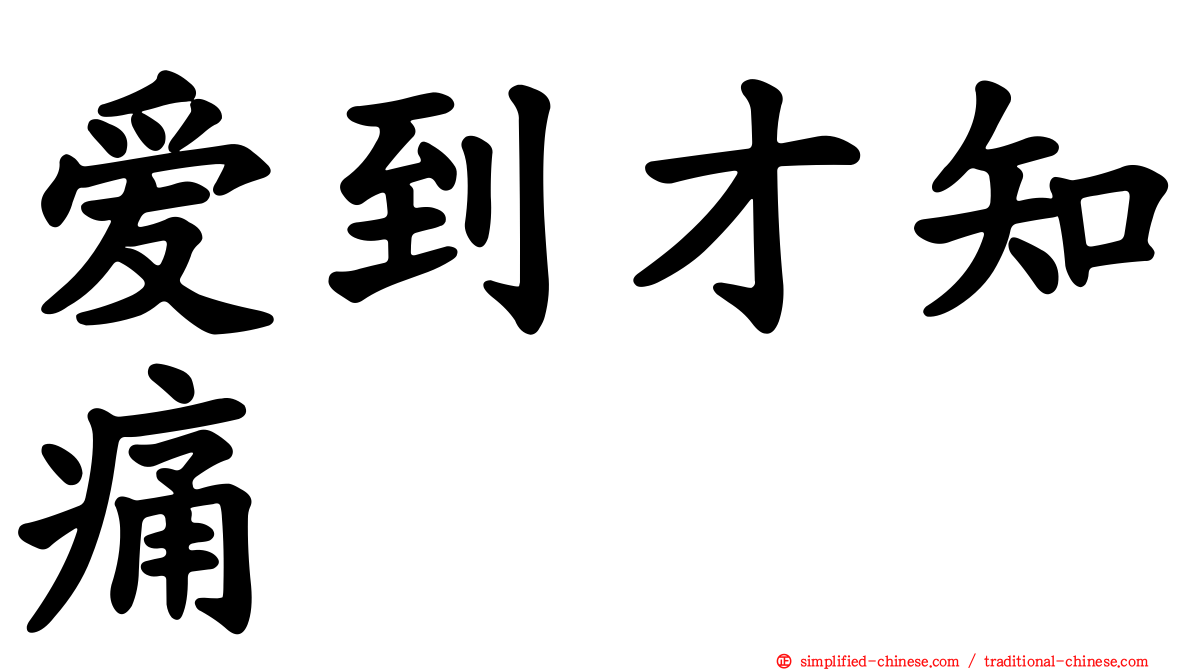 爱到才知痛