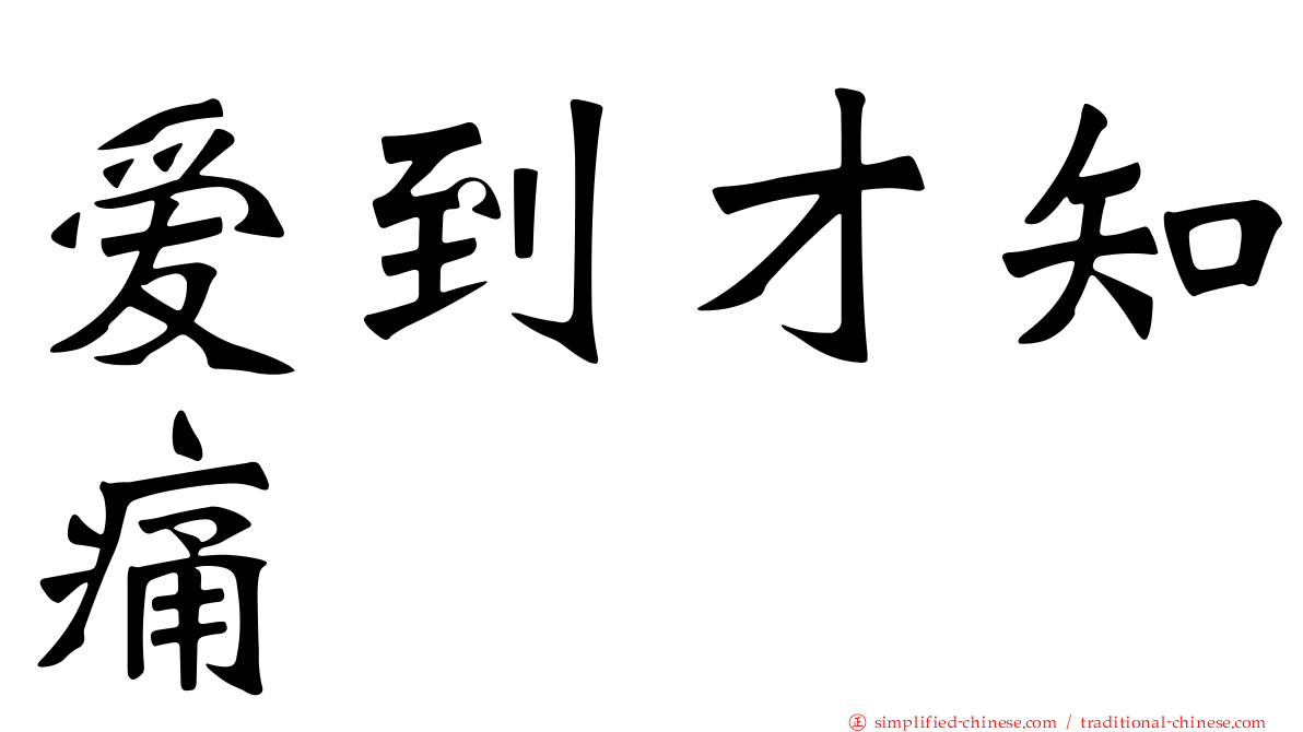 爱到才知痛