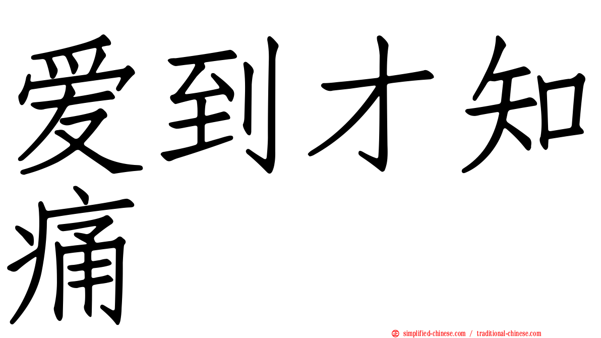 爱到才知痛