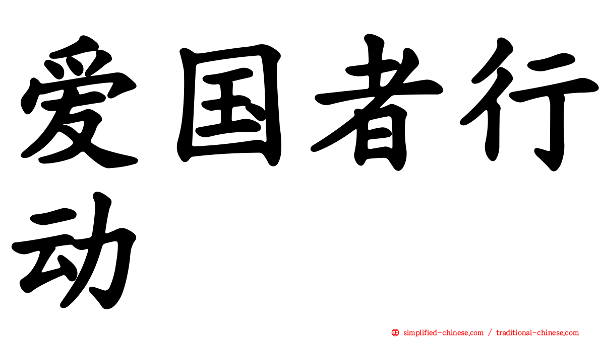 爱国者行动