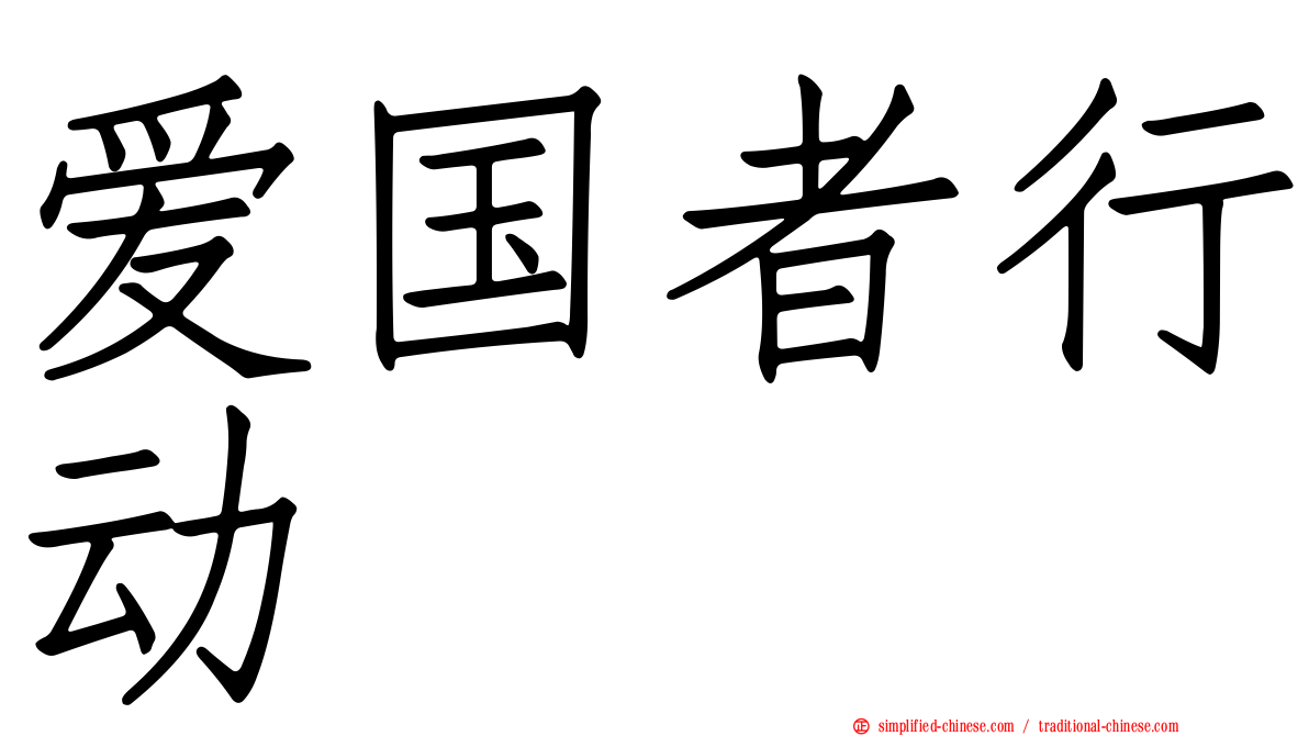 爱国者行动