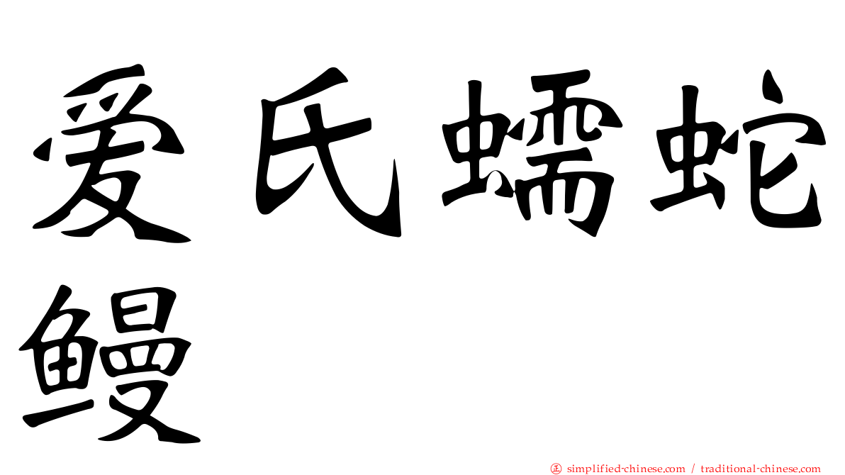爱氏蠕蛇鳗