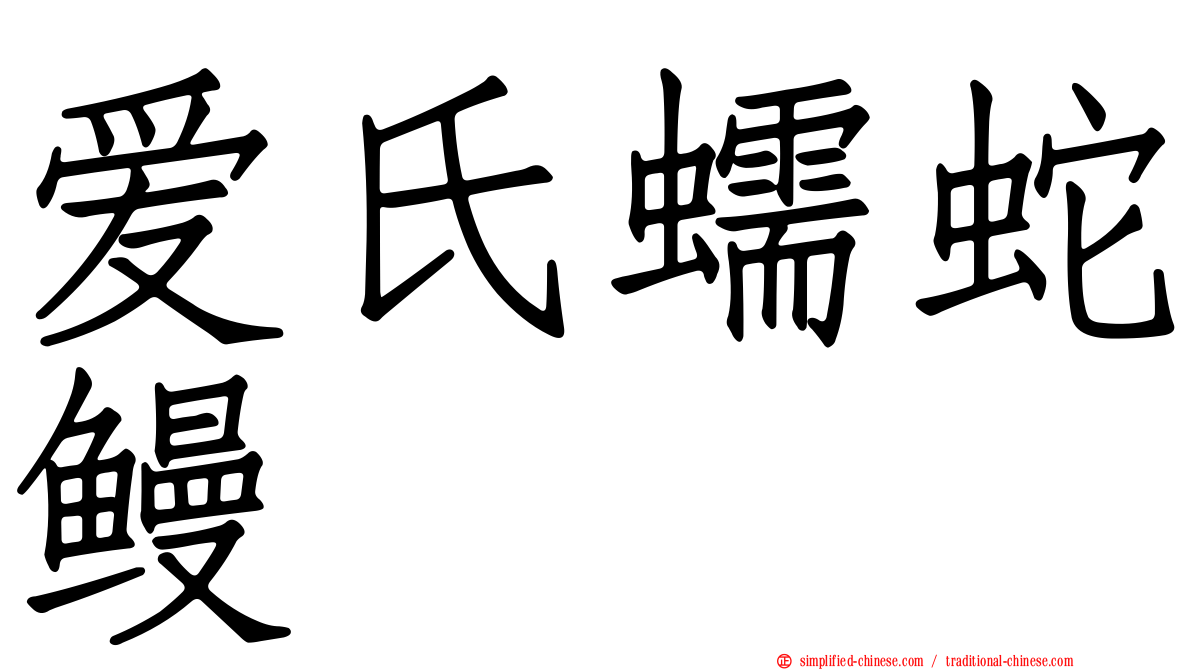爱氏蠕蛇鳗