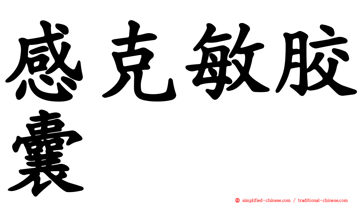 感克敏胶囊