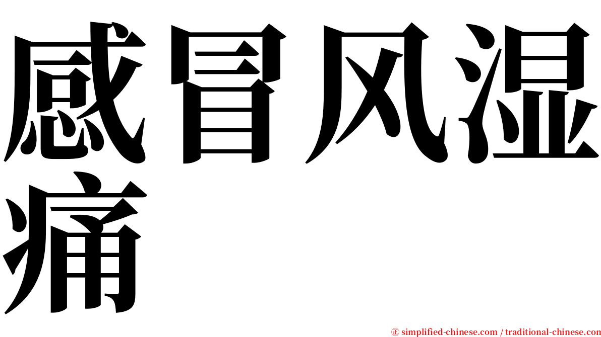 感冒风湿痛 serif font