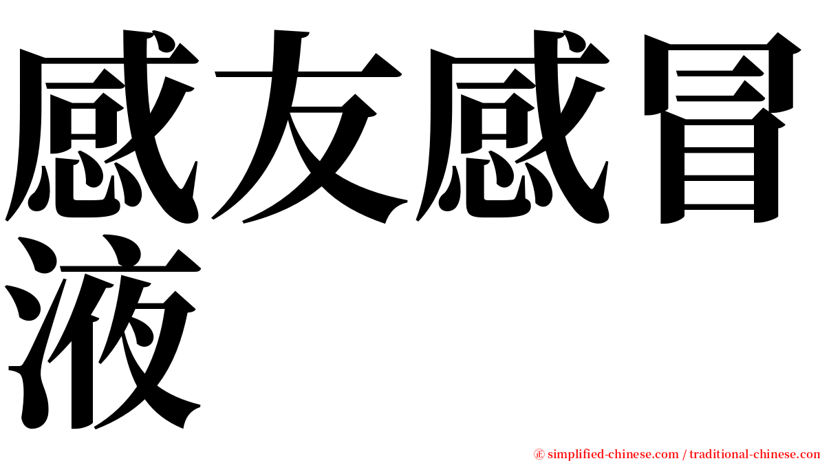 感友感冒液 serif font