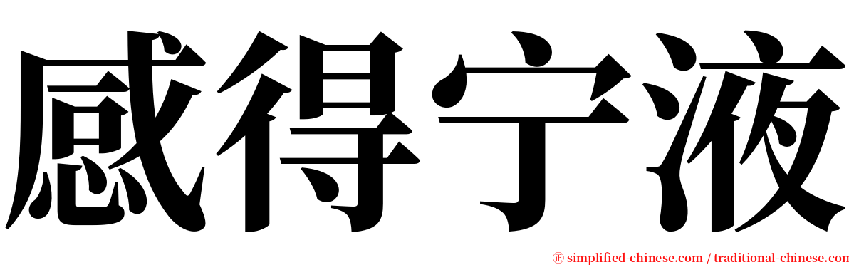 感得宁液 serif font