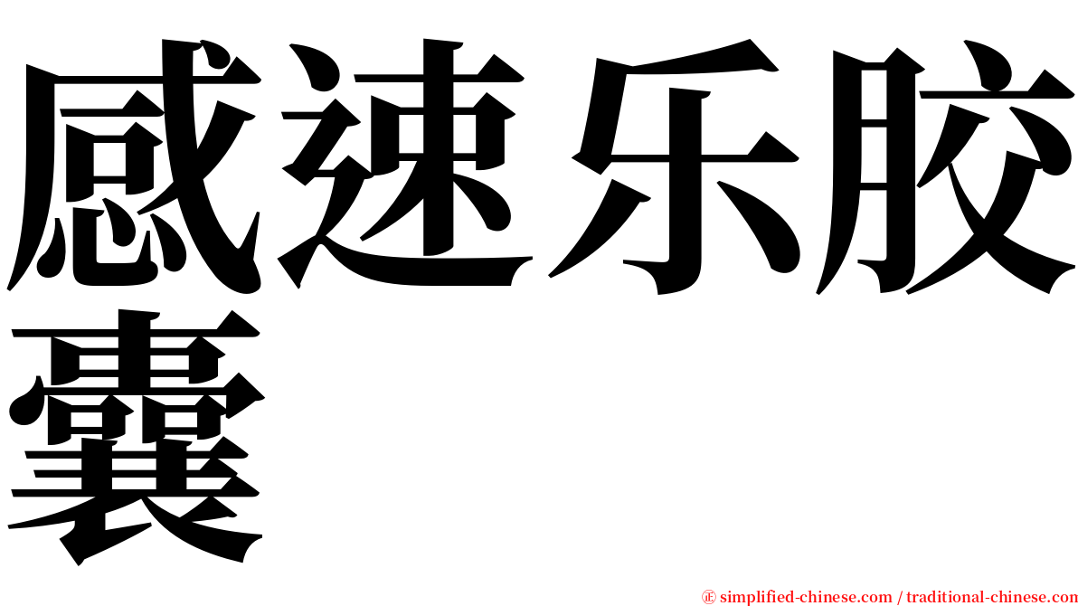 感速乐胶囊 serif font