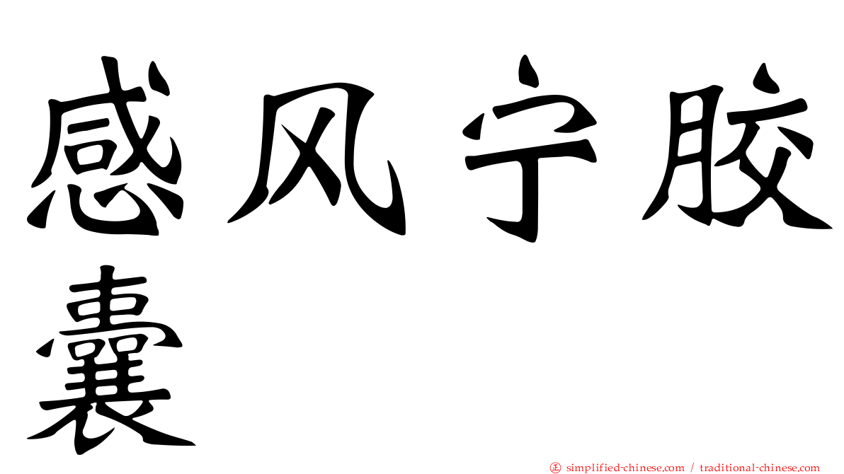 感风宁胶囊