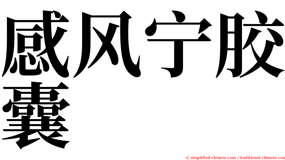 感风宁胶囊 serif font