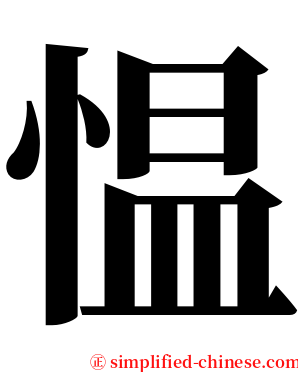 愠 serif font