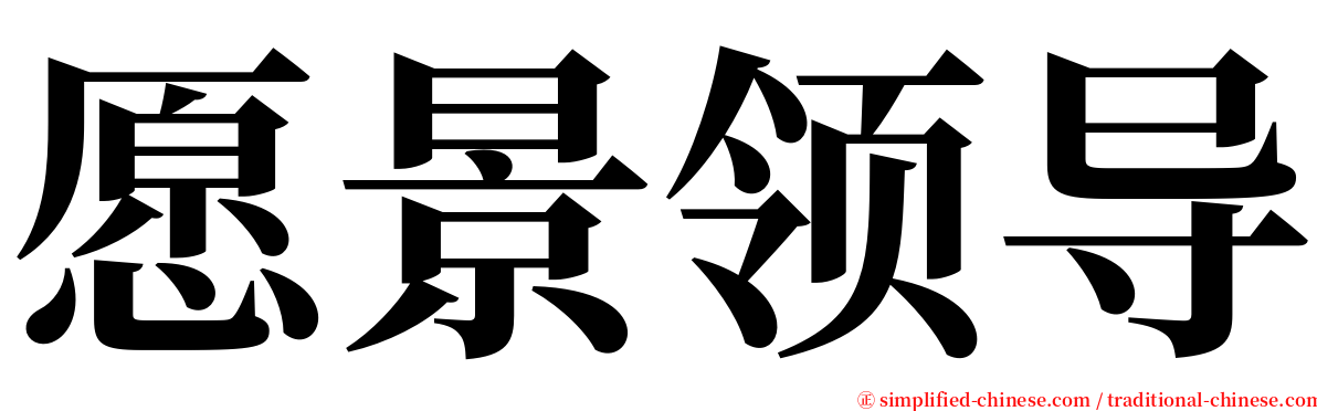 愿景领导 serif font