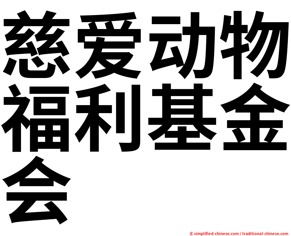 慈爱动物福利基金会